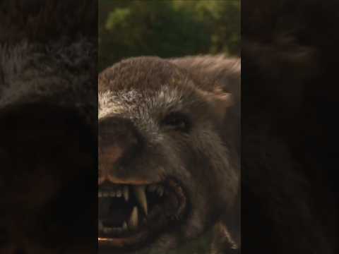 Самый Главный Хищник Эпохи Миоцена | Трейлер #Гиенодон #Hyaenodon #трейлер #реальноенереальное