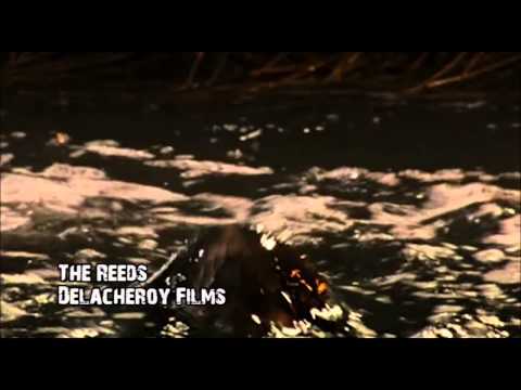 BEHIND THE STUNTS S3 EP10