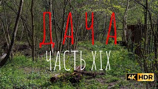 ДАЧА / ЧАСТЬ XIX / УБОРКА ФАСАДА / 4K HDR