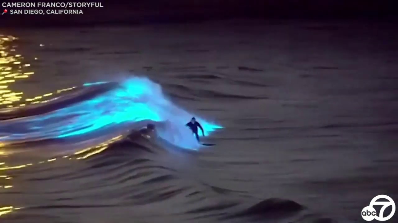 Bioluminescent waves Surfers ride glowing waters off San Clemente, San