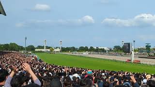 2024年5月26日 第89回東京優駿(日本ダービー)🏇