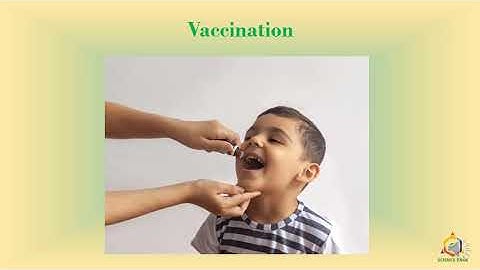 Standard 5: Lesson 23 & 25: Infectious Diseases and Community Health: Part 2 of 3