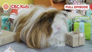 mittens pants perfect petunia cbc kids