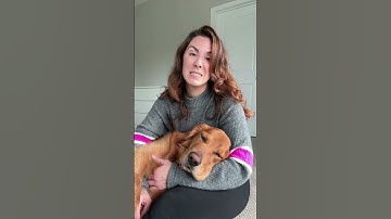 Best URL Shortener in 2025? Is PrimeLink the Right Tool for You?