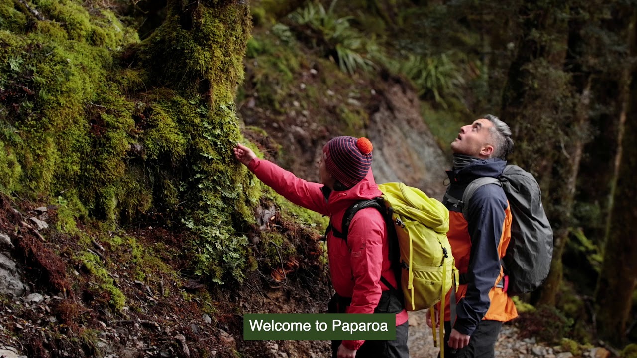 national parks development committee Paparoa Track, New Zealand