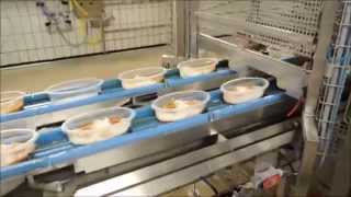 Vion Convenience Gmbh In Wunstorf Ready Meal Line