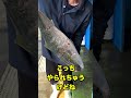 傷だらけなのに食べれるの