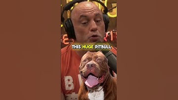 Joe Rogan - Horrific Cartel Video 😲