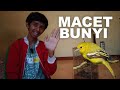 Uji Tes Mengatasi Burung Sirtu Atau Cipoh Punya Saya Yang Macet Bunyi Efektif Atau Tidak Mp3 - Mp4 Download
