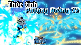 Bloxfruits - Tôi đã THỨC TỈNH PHƯỢNG HOÀNG V2 của Marco, \\