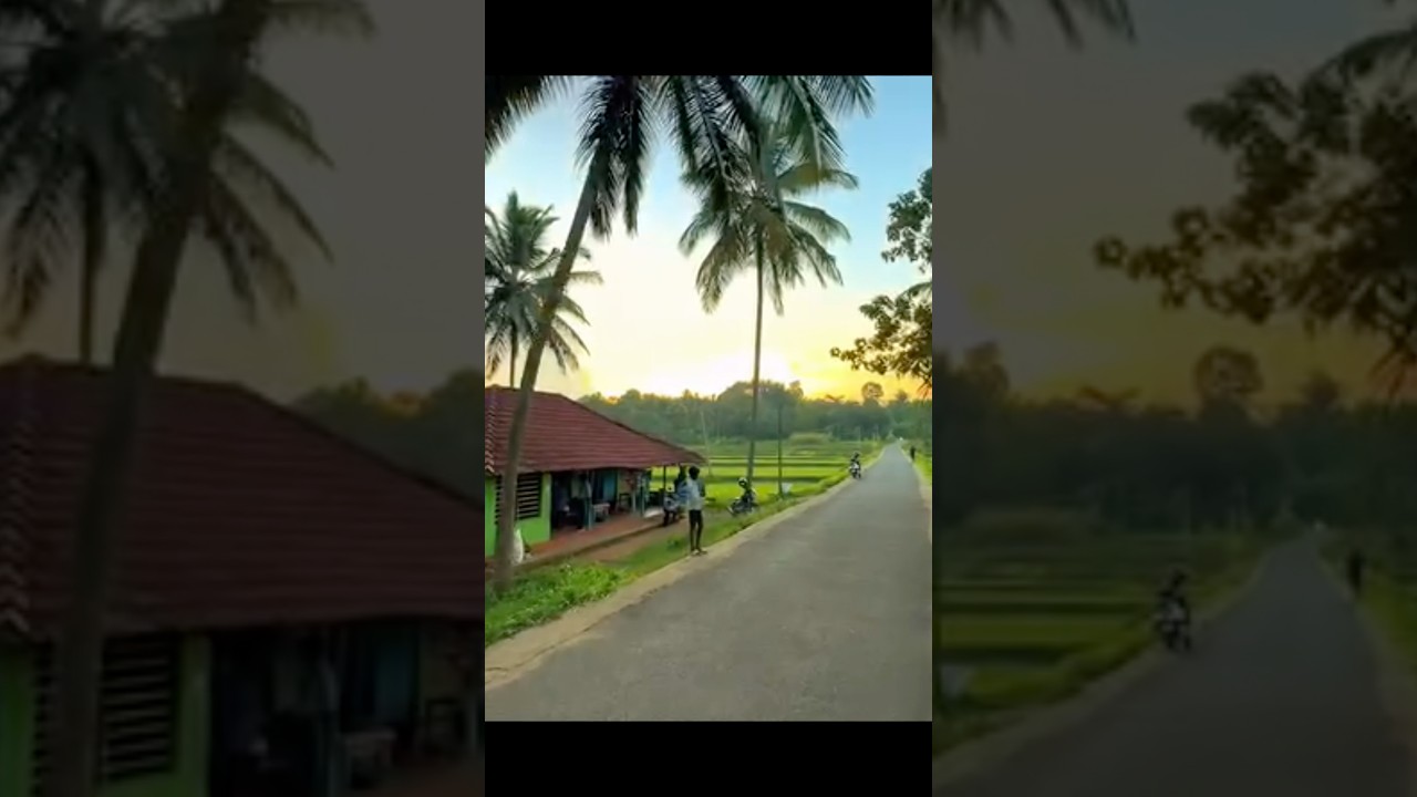 kerala sir 100 literacy sir What is the Reality ?Kerala reality hundred percent interest state in