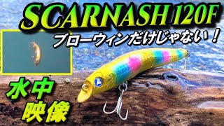 【スカーナッシュ120F】BlueBlue シーバスルアー 水中映像!ブローウィンも良いけどこれも良い!ブルーブルー SCARNASH120F