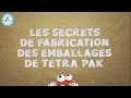 Tetra pak cartoons  les secrets de fabrication des emballages de tetra pak