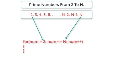 C Program To Find Prime Numbers From 2 To N, using For Loop