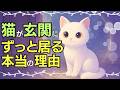 【スピリチュアル】癒しの裏に隠された真実。猫は“⚪︎⚪︎”だった！
