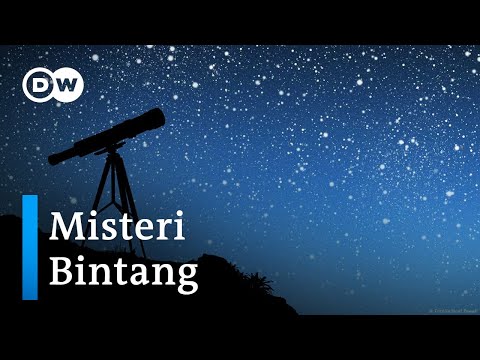 Video: Bagaimana kehidupan seorang bintang