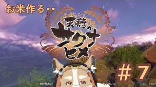 【天穂のサクナヒメ】開墾じゃぁああ！！稲作じゃぁあ！！part7【#Vtuber #さんぽらいぶ】