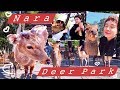 Visiting Nara Deer Park, Japan 🦌 & Osaka Aquarium