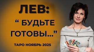 видео: Лев : картинка: Лев :