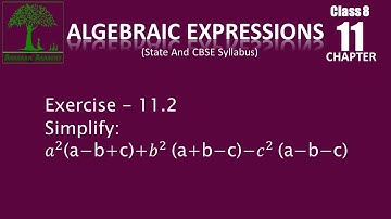 Class 8 Algebraic Expressions Exercise - 11.2