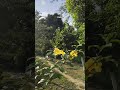 Where the light feels like poetry!🤍🌱