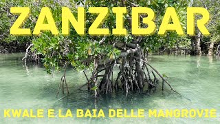 ZANZIBAR (KWALE E LA BAIA DELLE MANGROVIE) - Tanzania, Africa, drone 4K