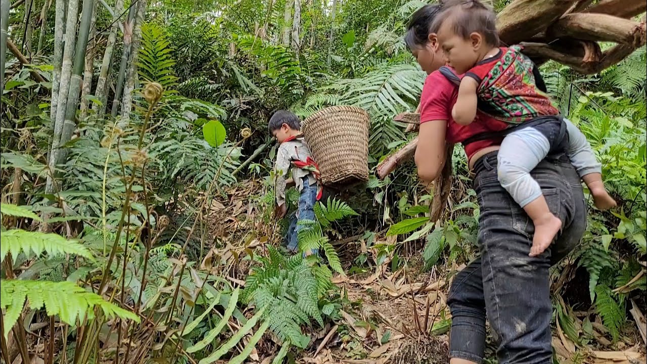 A single mother and her orphan child went into the forest to find ...