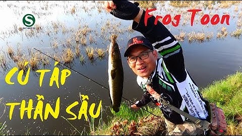 Câu cá lóc | Mồi giả Frog Toon | Fishing lure | Sắc Màu VN