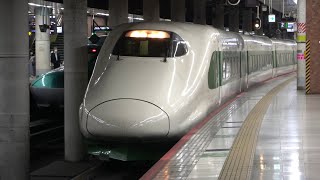 2022/06/17 【200系塗装 入区】 E2系 J66編成 + E3系 L69編成 上野駅 & 東京新幹線車両センター | JR East: E2 + E3 Series Shinkansen