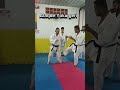 Yoko geri chute com a faca do pé #kata #karateka  #karate #shitoryu #shotokan #wkf #gojuryu
