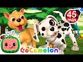 Puppy Play Date + MORE CoComelon Nursery Rhymes &amp; Kids Songs