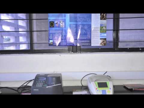 Institute of Bioinformatics and Applied Biotechnology Others(1) Institute of Bioinformatics and Applied Biotechnology Others(1)