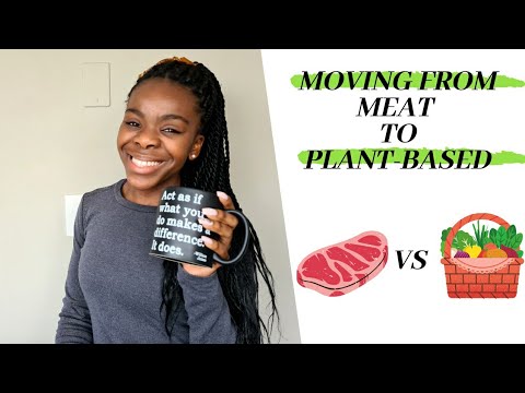 Switching from meat to plant-based| South African Youtuber