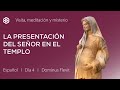 4 de octubre. Visita a la explanada del Templo. Reflexión sobre la Presentación, Jerusalén.