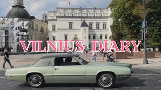 Отдых в Вильнюсе: Бесплатные Музеи, Вечеринка в Парке и Лимонный Кекс с Голубикой | Жизнь в Литве