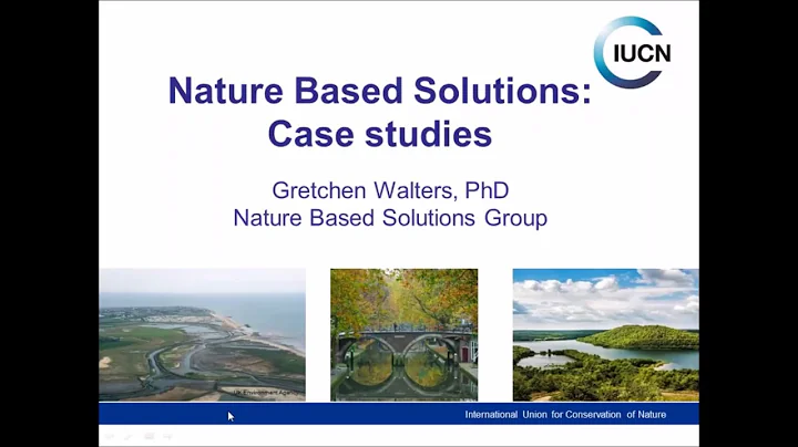Nature based Solutions: case studies - Gretchen Wa...