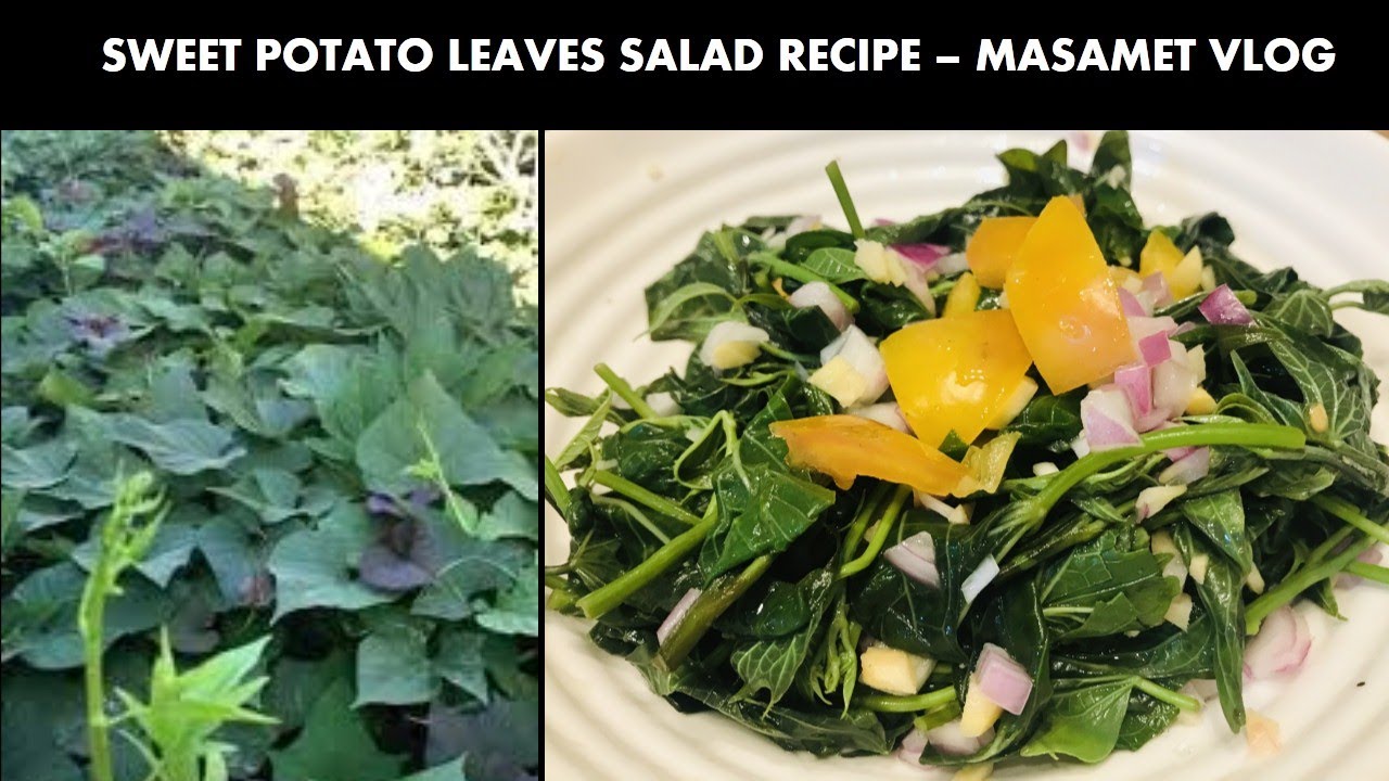 SWEET POTATO LEAVES SALAD RECIPE YouTube