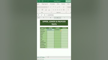 How to use UPPER LOWER PROPER Functions in Excel | Excel Text Functions