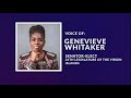WTJX News Brief, November 5, 2020