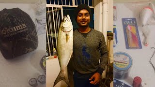 Big Shad! Building A Trace For Bigger Shad!