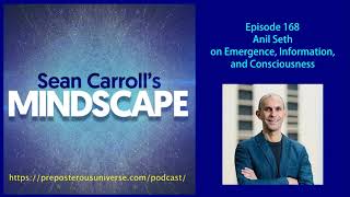 Mindscape 168 | Anil Seth on Emergence, Information, and Consciousness