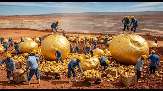 What we found buried shocked the whole world [Gold Treasure Hunt]