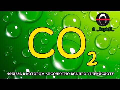 УГЛЕКИСЛЫЙ ГАЗ В АКВАРИУМЕ