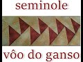 Seminole Vôo do Ganso