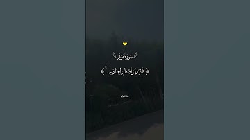 سورة مريم | تلاوة مؤثرة تهز القلوب 📖✨