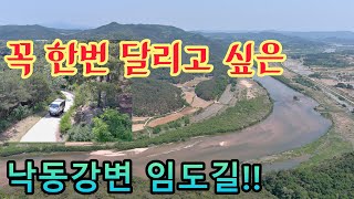 승용차도 편안히 달릴수 있는 낙동강변 아름다운 숲길을 따라 드라이브 할수있는 임도길!!