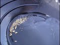 Alaska gold