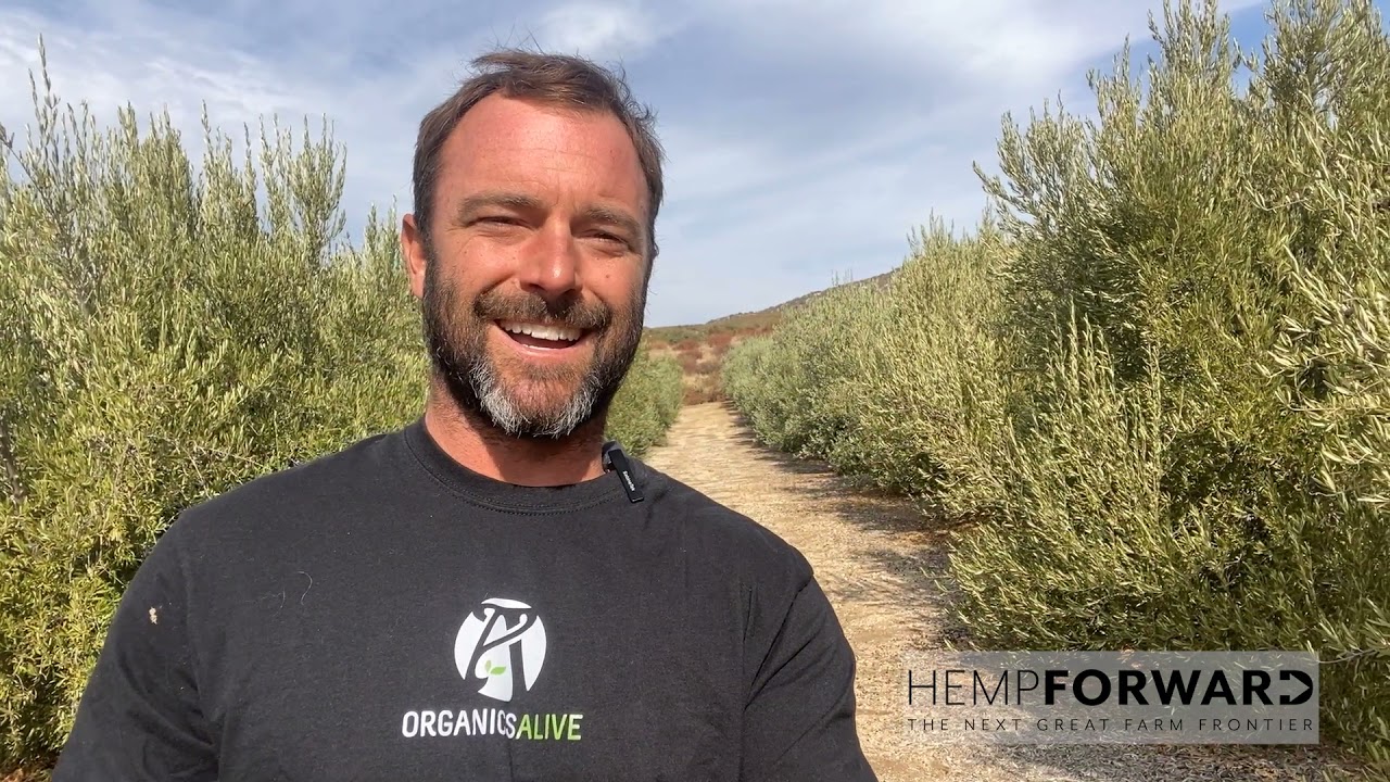 Fertile Ground: Helping Farmers Make the Transition to Hemp