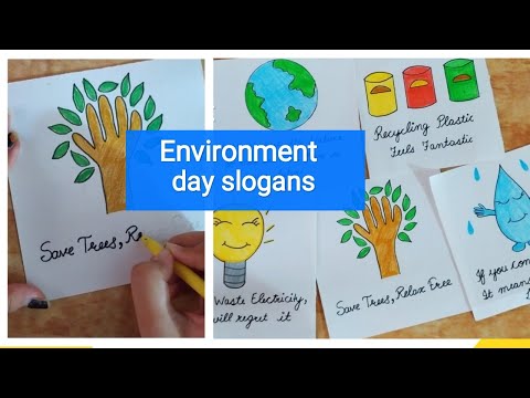 How to write Environment Day slogan | Environment Day slogans