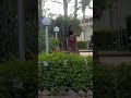Live ● Rasiya live shooting recording